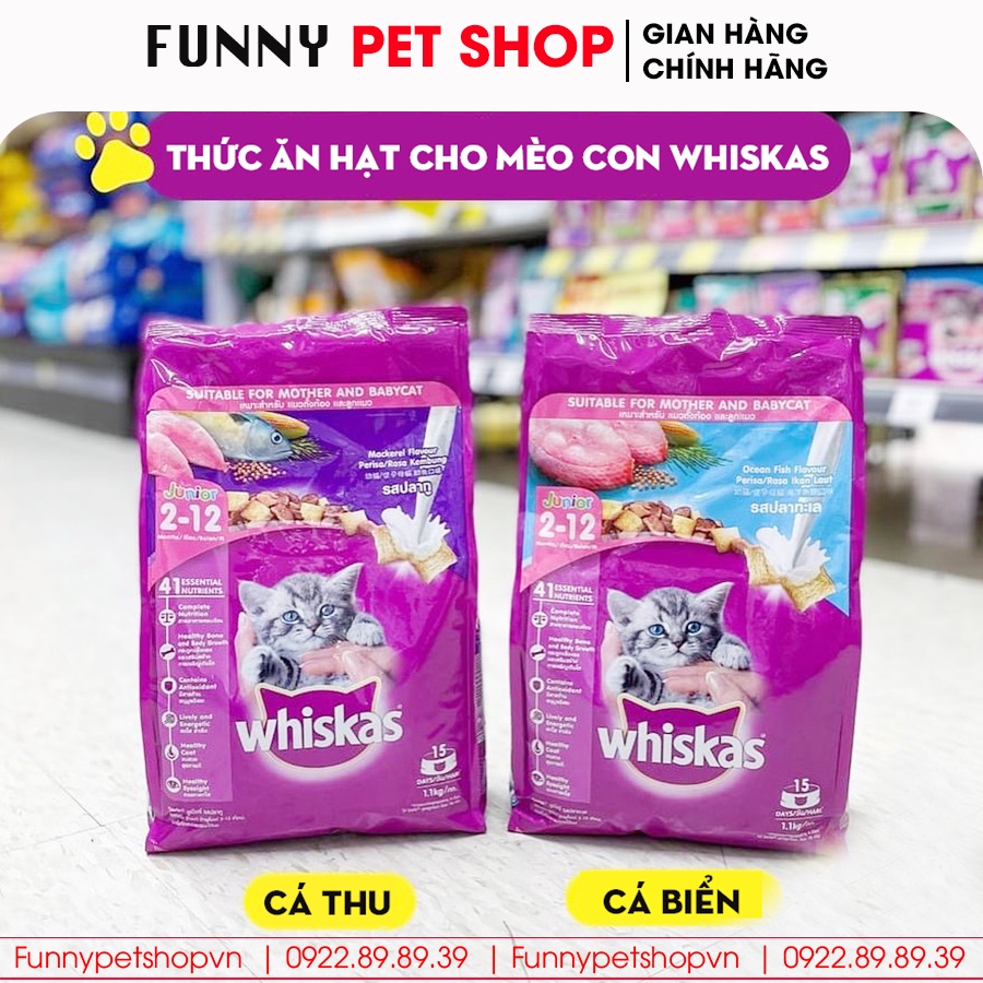 Thức ăn cho mèo Whiskas, đồ ăn cho mèo con vị cá biển và sữa Whiskas Junior - Funny Pet Shop