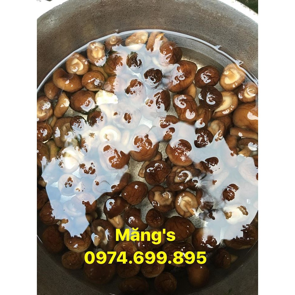 Nấm hương ngon loại 1  HÚT CHÂN KHÔNG