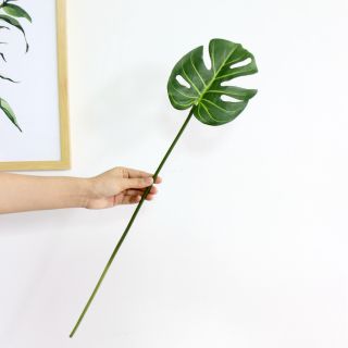 Cành lá sẻ