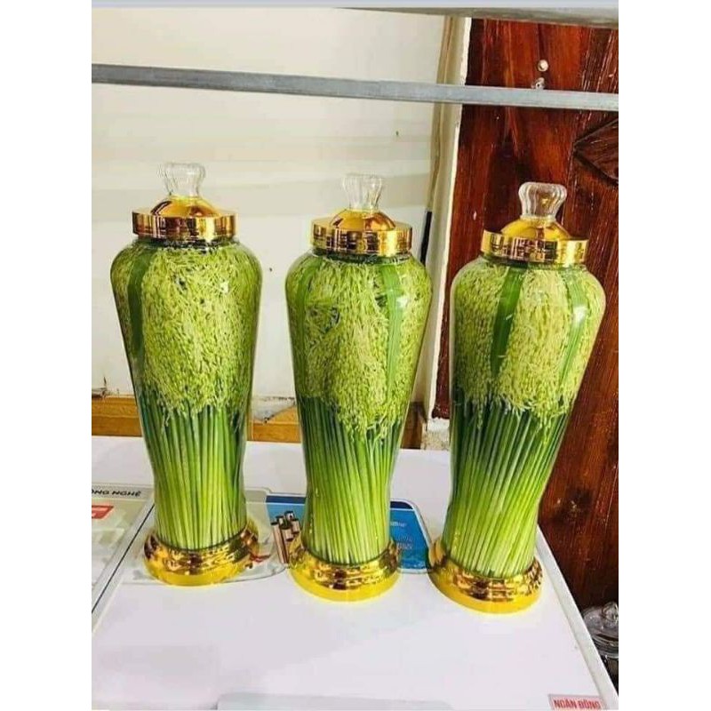 ĐÒNG ĐÒNG LÚA NẾP 1KG(chỉ giao Hà Nội )