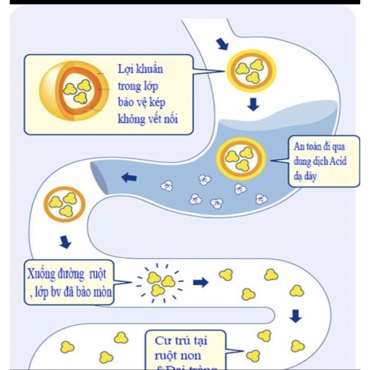 MEN VI SINH BIFINA R NHẬP KHẨU CHÍNH HÃNG TỪ NHẬT BẢN