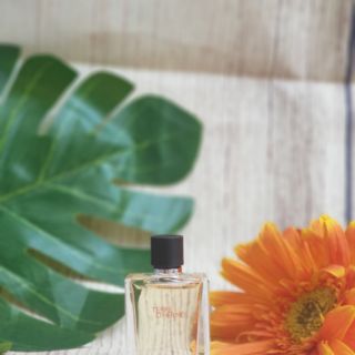 Nước Hoa Mini Nam Terre D' 5ml