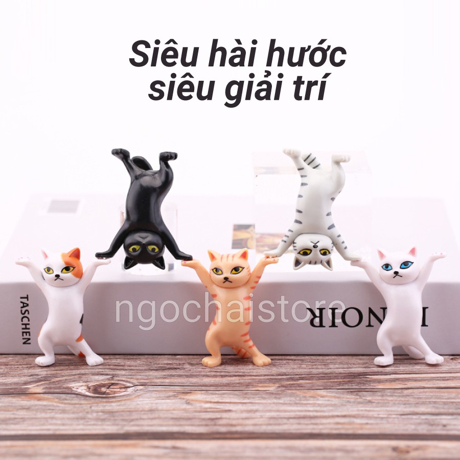 Mô hình mèo mini, Mèo khiêng hòm (Quan tài) | Tượng mèo trang trí (Set 5 mèo)