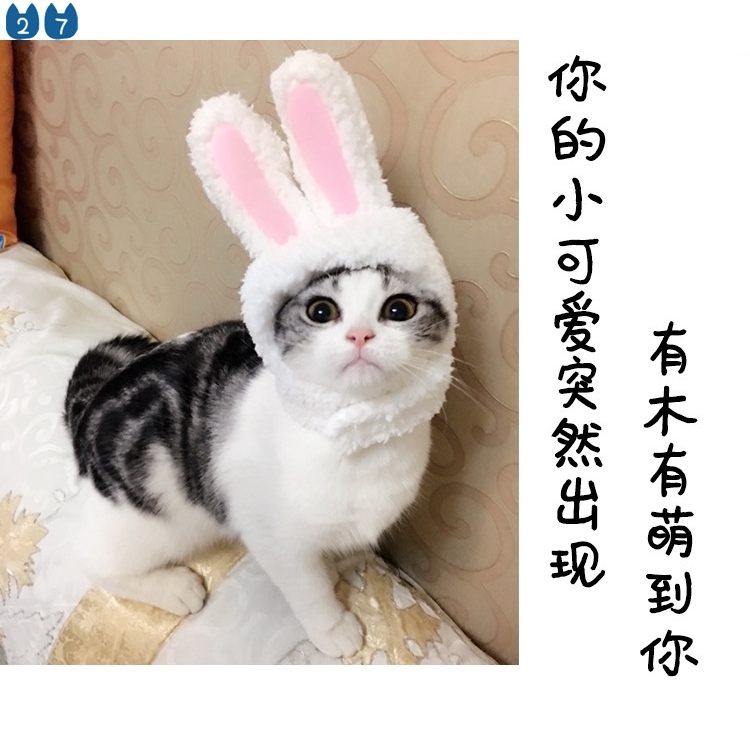 Mũ tai thỏ dễ thương dành cho thú cưng