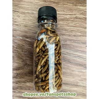 Sâu Canxi rang dành cho Hamster