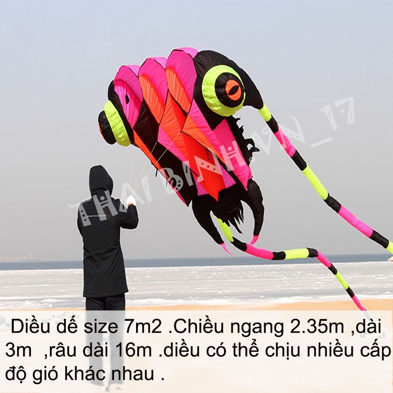 Diều Đầu Dế - Diều Khí Động Học Đầu Dế 7m2