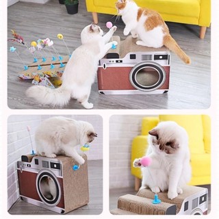 😺 Cây Ghim Bàn Cào Móng