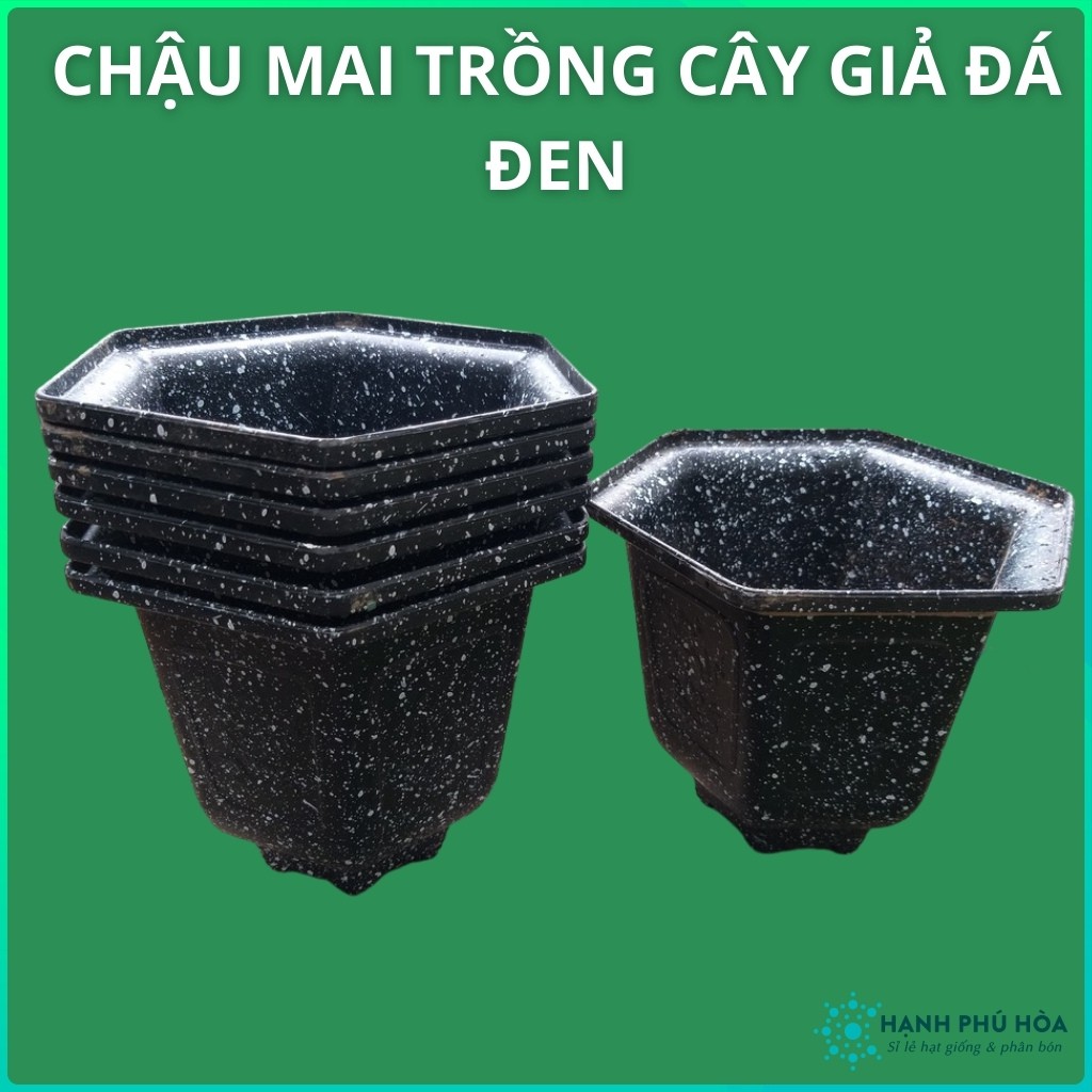 Chậu Mai Đen Giả Đá 210-280 -Trồng Hoa Lan, Cây Kiểng - Chậu Nhựa , Đẹp, Nhẹ, Chắc Chắn