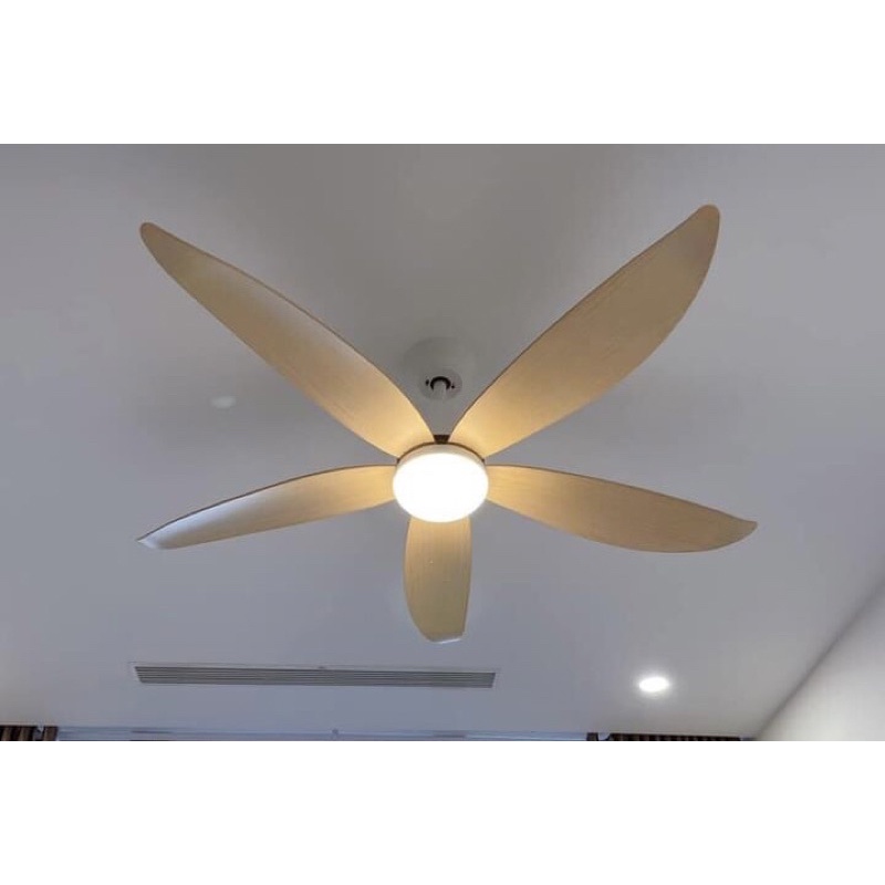Quạt trần F25 hàng chính hãng co bảo hàh