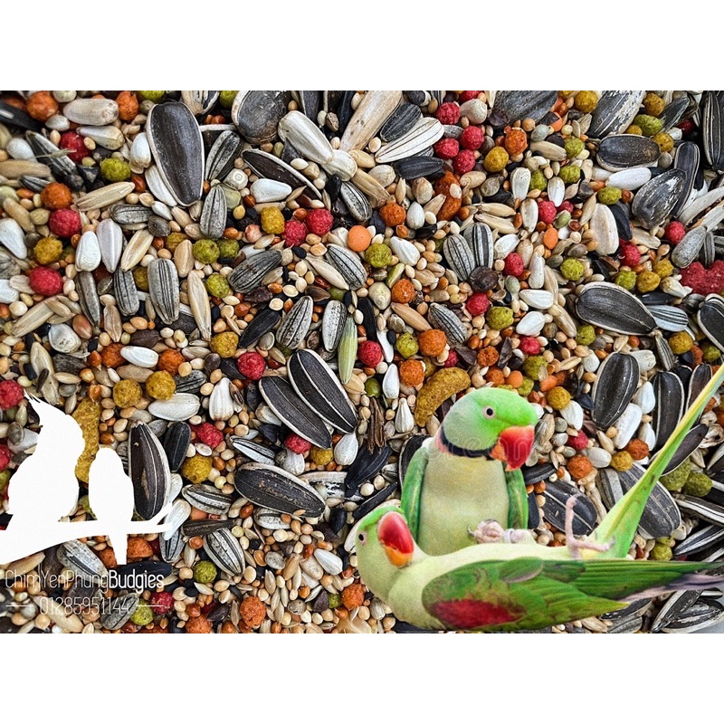 1kg hạt mix + Zupreem cho Vẹt size trung (Lovebird, Cockatiel, Parrotlet...)