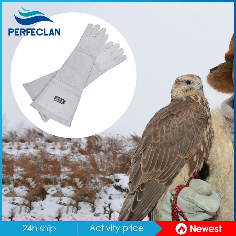 Găng Tay Da Rắn Chống Cắn Cho Thú Cưng Bò Sát 8-8.5cm 62cm