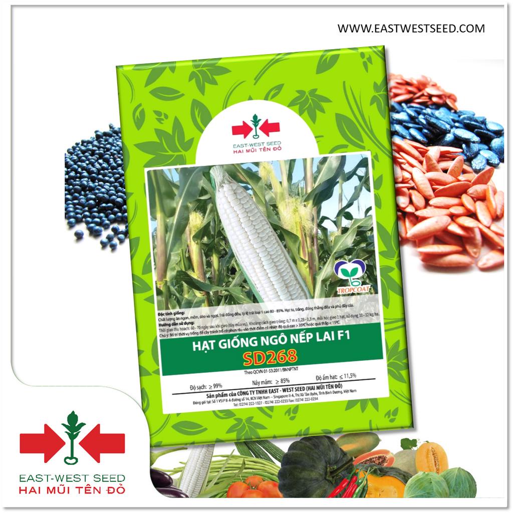 GÓI 100g (KHOẢNG 520 HẠT) HẠT GIỐNG BẮP NẾP LAI F1 SD268 CỦA EAST-WEST SEED (HAI MŨI TÊN ĐỎ)