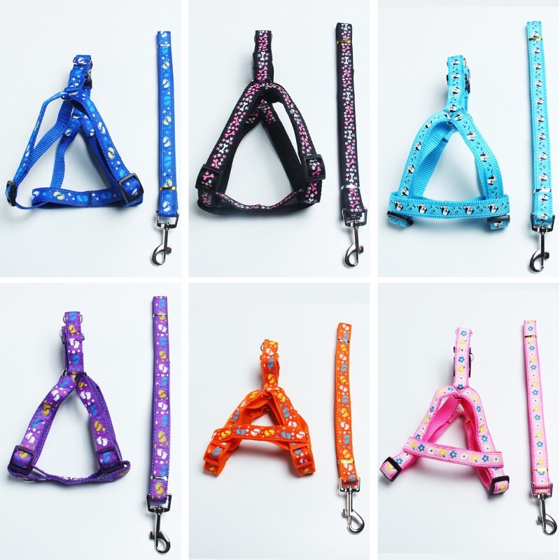 Dây dắt kèm yếm 1cm dành cho thú cưng, Dây dắt kèm yếm sắc màu LaLi petfashion