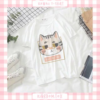 [KINGDOMFOX] Áo thun mèo đeo kính