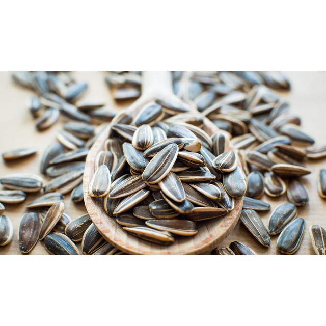 1kg HƯỚNG DƯƠNG CHÍN NGON LOẠI NGON