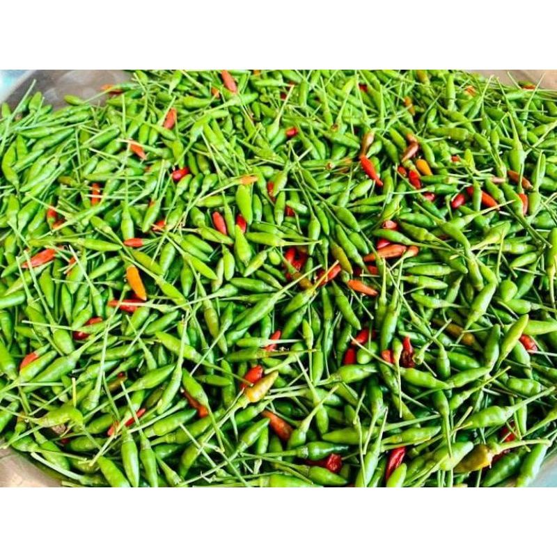 Ớt xiêm rừng sốc muối ,cay giòn quanh năm .chai 330ml 🌶.