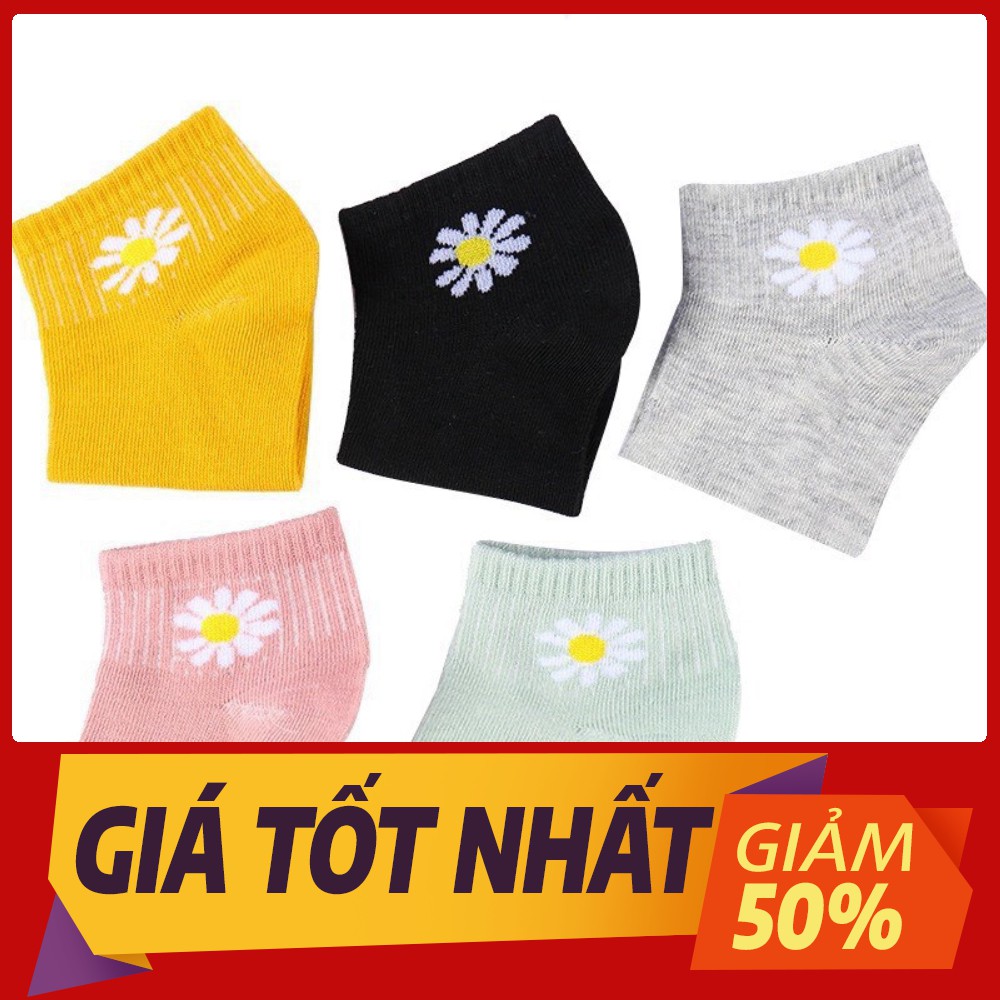 [Sale toàn shop]combo 10đôi TẤT VỚ NAM NỮ MANG GIÀY CỔ TRỤ HOA CÚC 300 SIÊU DỄ THƯƠNG