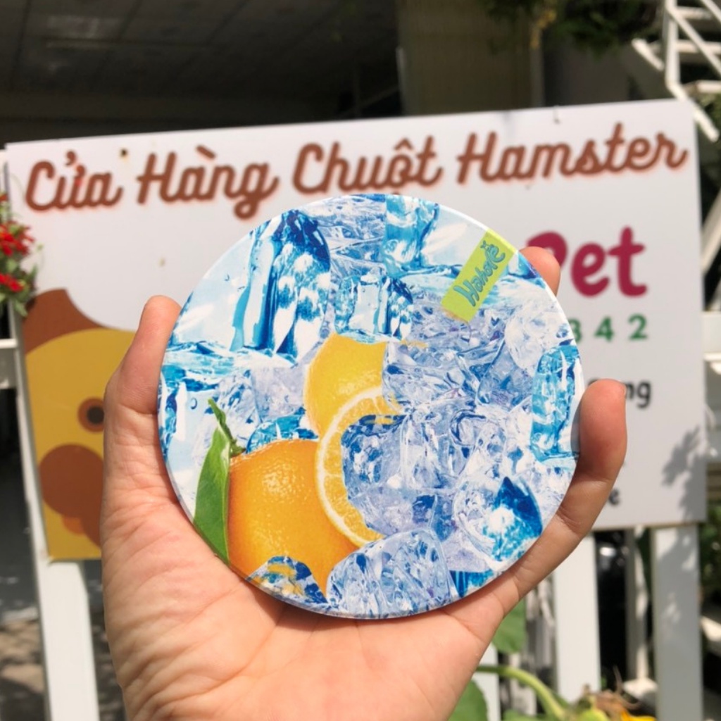 Tấm sứ tản nhiệt cho hamster, sóc, bọ, nhím, thú nhỏ