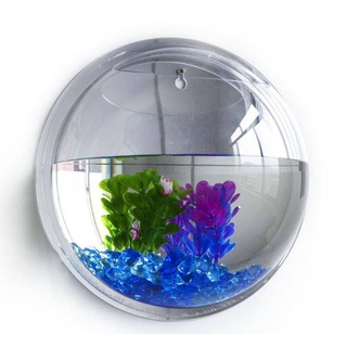 Bể Cá Treo Tường Bằng Acrylic Tiện Dụng