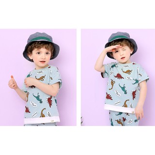 (100) Áo hè cotton khủng long Andi aj2use22