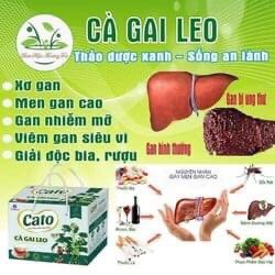 Cao Cà Gai Leo Cato Fanmec - Hỗ trợ gan Mát Gan Thải Độc Thanh Nhiệt
