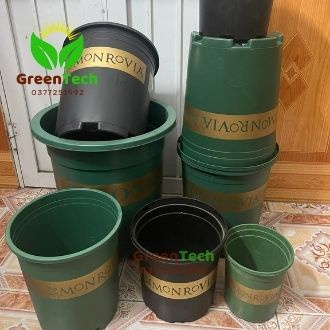Ảnh Thật - Chậu nhựa trồng cây Monrovia đủ size 1gl - 5gl Việt Nam