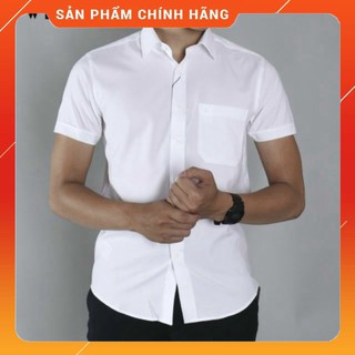 Áo sơ mi cộc tay Owen sợi sồi