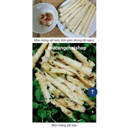 Măng sặt, măng trúc, măng ngọt Yên Bái túi 500g