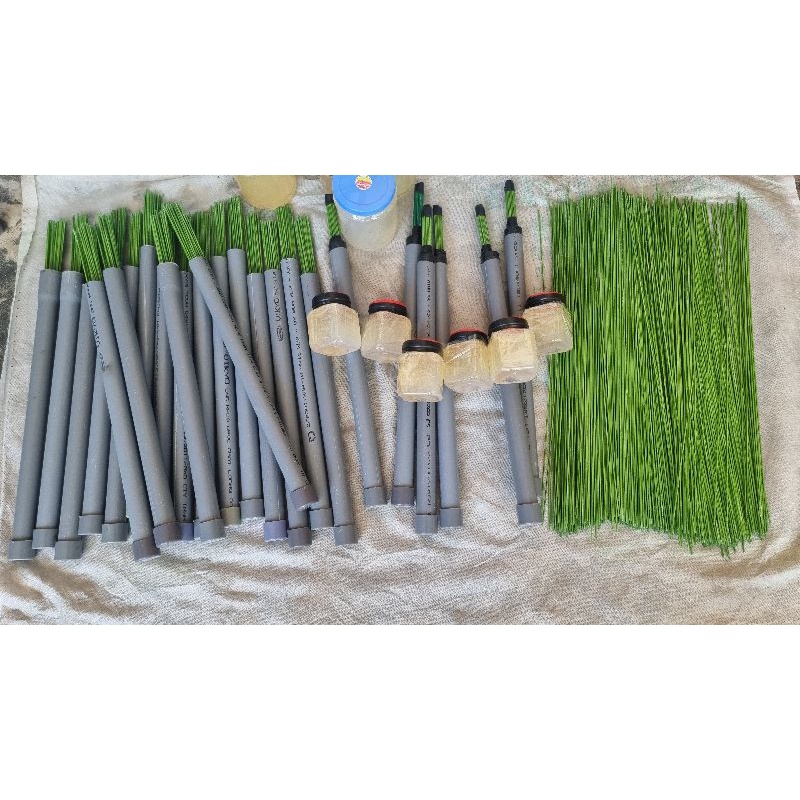 Bộ Bẫy chim bằng keo