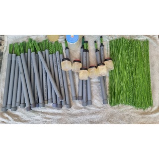 Bộ Bẫy chim bằng keo