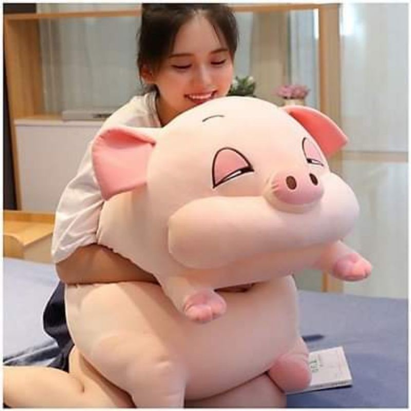 gấu bông heo lười - heo mắt hí - heo mê ngủ siêu béo siêu cute