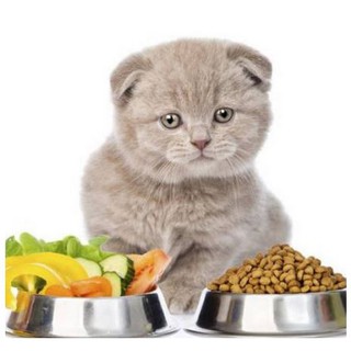 Thức ăn cho mèo Catsrang - 5kg-tkt