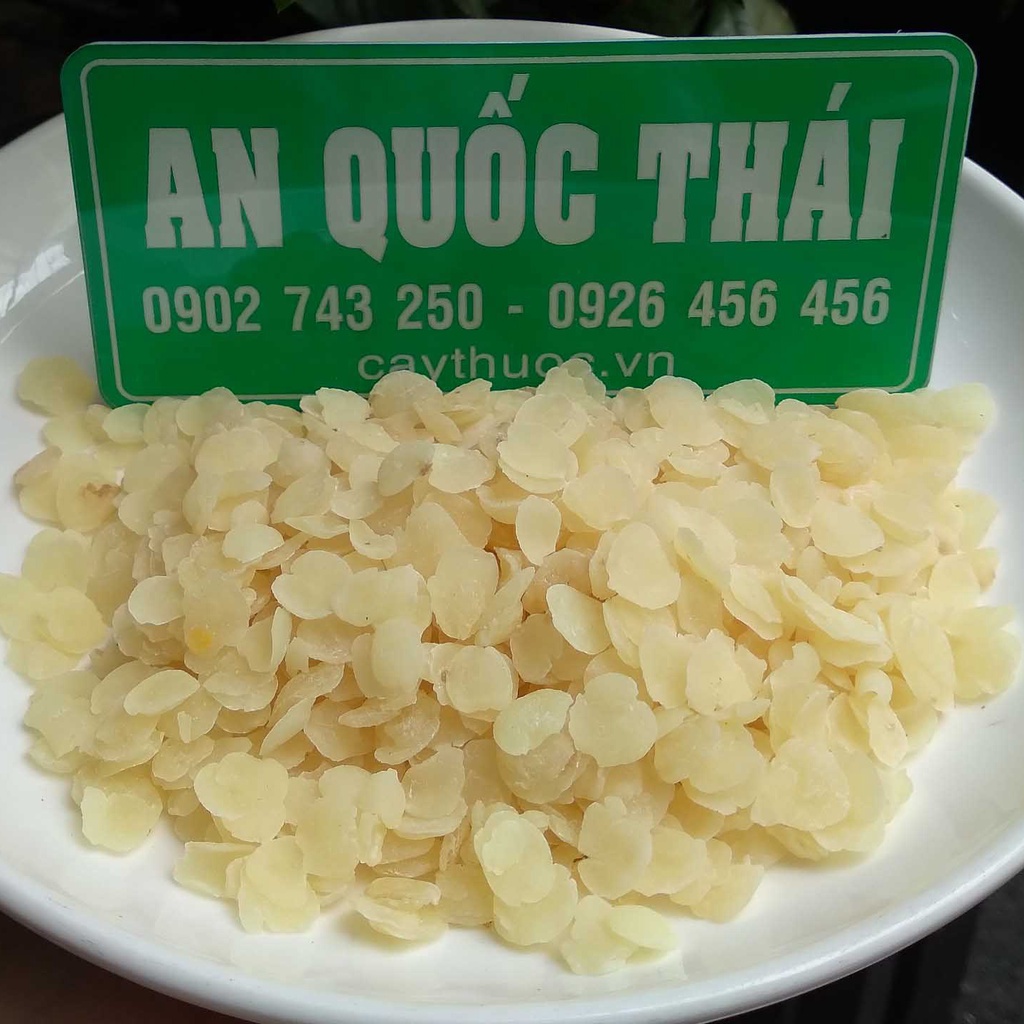 Bồ Mễ / Tuyết Liên Tử Nấu Chè Dưỡng Nhan Túi 1Kg Thượng Hạng, Hạt Bồ Mễ Dai Dẻo Thơm Ngon Loại 1