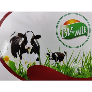 Bánh Sữa Nhạt Socola BVMILK Ba Vì 180g