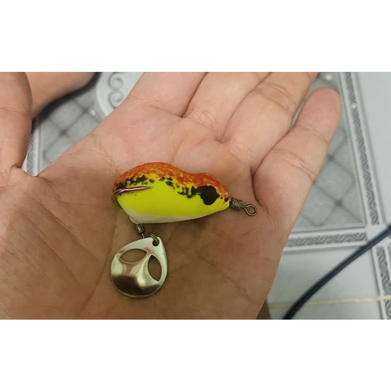 NHÁI HƠI CÂU LURE ẾCH TRÒN