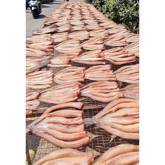 1kg Khô cá lóc loại lớn 2 nắng [Đặc sản An Giang]