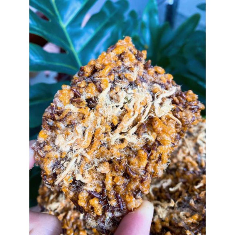 300gr cơm cháy gạo lức chà bông