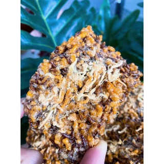 300gr cơm cháy gạo lức chà bông