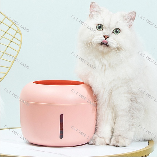 MÁY LỌC NƯỚC CHO CHÓ MÈO, TẶNG MIẾNG LỌC THAY THẾ - ĐÀI PHUN NƯỚC UỐNG CHO THÚ CƯNG