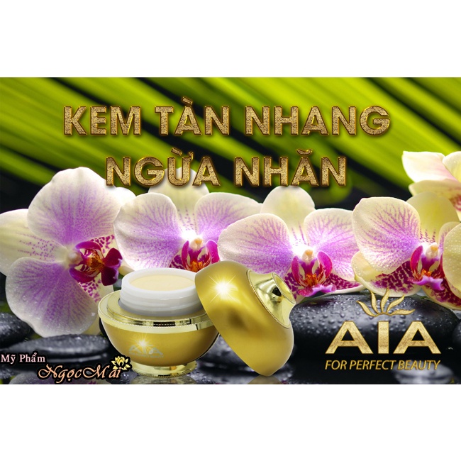 Kem nám trắng da phục hồi da ngừa thâm quầng mắt Cao Cấp 20g Wrinkles Skins Dark Spots And Freckles AIA Cosmetics