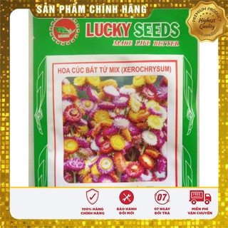 Hạt Giống Hoa Cúc Bất Tử(50 hạt)