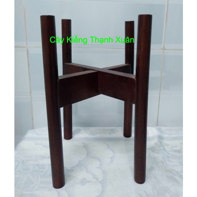 Kệ Gỗ Kê Chậu Cây Cảnh, Đôn Đê Chậu Hoa, Giá Đỡ Gỗ, Kích Thước Cao 24x Rộng 20, Lọt Lòng 16cm, Cây Kiểng Thạnh Xuân