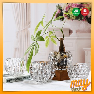 Chậu cây để bàn, chậu trồng cây thuỷ sinh chậu cây thuỷ tinh | may decor