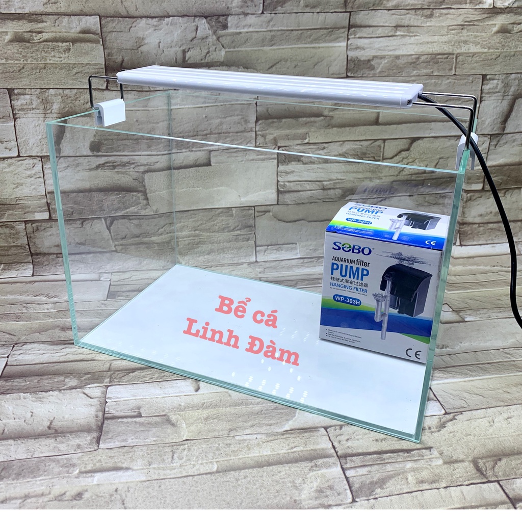 Bể cá mini kính siêu trong dài 35cm - Bể cá đẹp để bàn