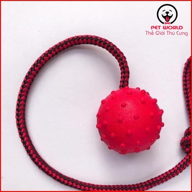 Đồ Chơi Bóng Cao Su Có Dây Huấn Luyện Chó Mèo