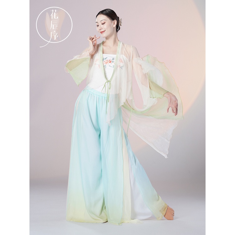 Bộ Trang Phục Biểu Diễn Múa Tay Dài Phối Lưới Phong Cách Trung Hoa Cổ Điển