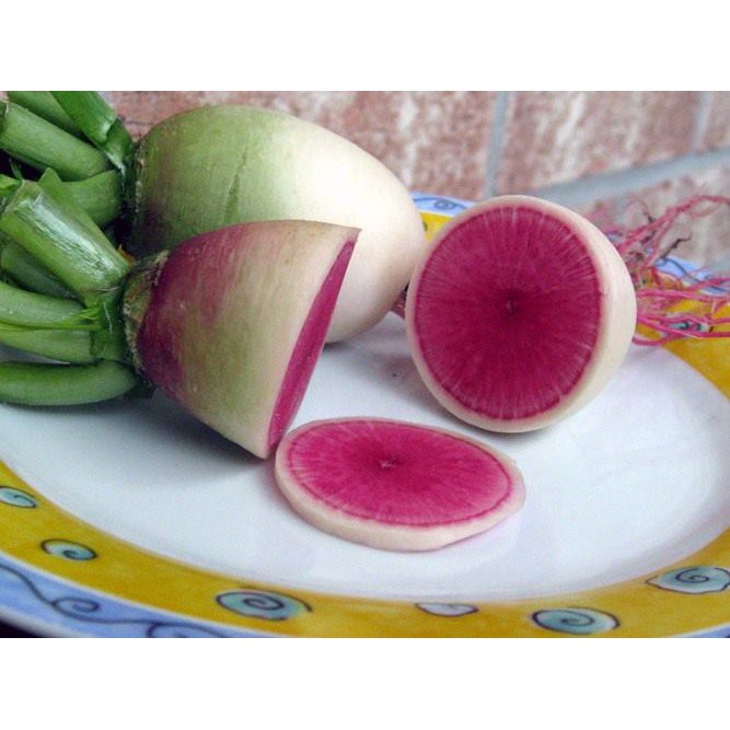 HẠT GIỐNG CỦ CẢI TRẮNG RUỘT ĐỎ