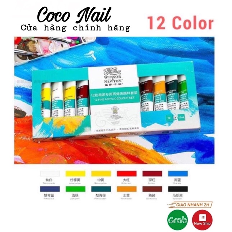 Set gel vẽ cọ bản 12 màu Winsor