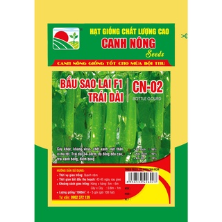 BẦU SAO LAI TRÁI DÀI CN-02