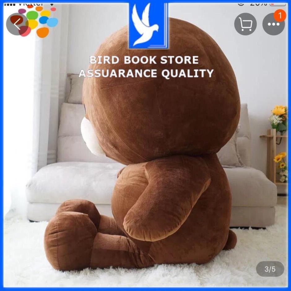 Gấu Bông Brown khổng lồ khổ vải 1M6 - Gối ôm ngủ hình thú hàng cao cấp Bird book